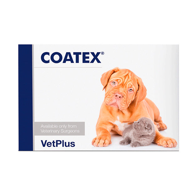 VetPlus Coatex Cápsulas – Suplemento para Piel y Pelaje de Perros y Gatos
