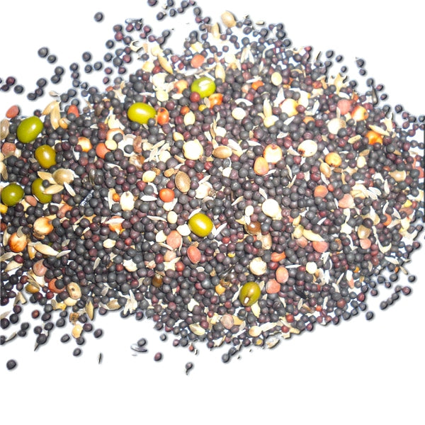 Semillas de Germinado para Canarios – Ricas en Proteínas y Vitaminas Naturales | Ideal para Cría y Polluelos | 1 kg y 25 kg