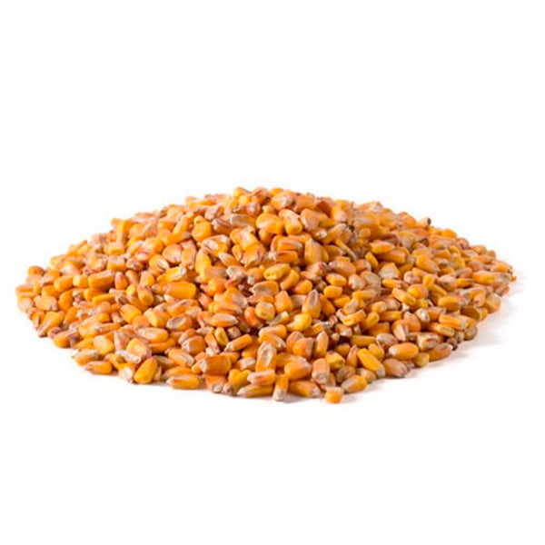 Maíz Entero para Alimentación Animal – Saco 25 kg