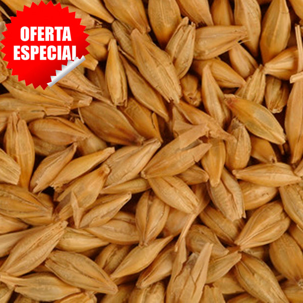 Agroveco Cebada Entera Limpia 25 kg – Materia Prima para Alimentación Animal