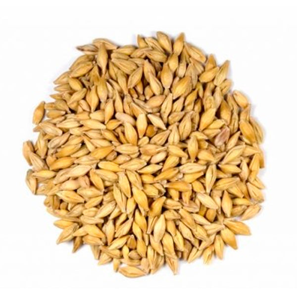 Semilla de Cebada – Alimentación Natural para Pájaros y Animales de Granja