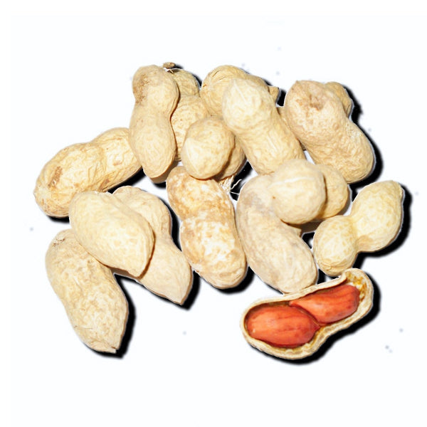 Cacahuete Natural con Cáscara para Loros y Cotorras – Crudo y Sin Sal – 1 kg Granel o Saco 25 kg