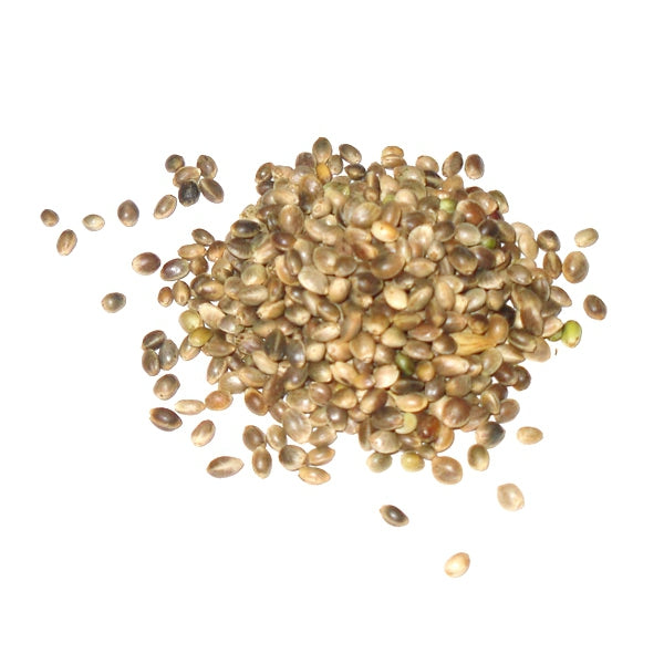 Cañamón Pequeño para Pájaros – Estimula el Canto y la Fertilidad | Rico en Omega 3-6-9 | 1 kg y 25 kg