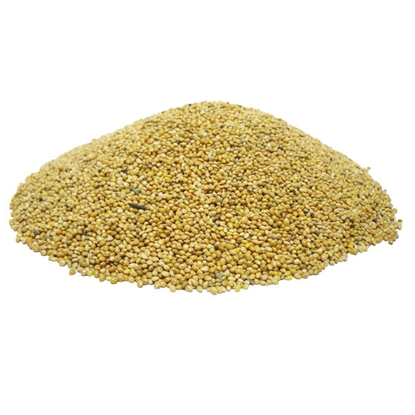 Semilla de Mijo Amarillo – 1 kg y 25 kg