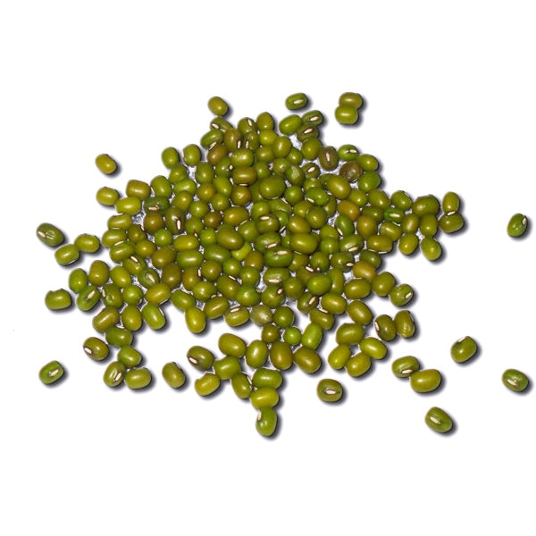 Semilla de Soja Verde para Pájaros – Proteína y Energía Natural