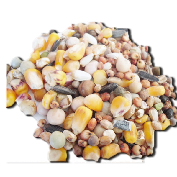 Mixtura para Palomas Mantenimiento – Fórmula Equilibrada con Cereales y Leguminosas | Saco 25 Kg