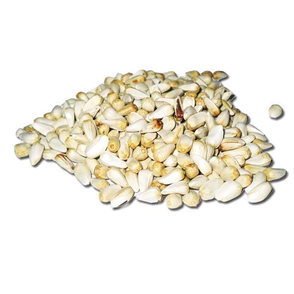 Semilla de Cártamo para Pájaros – Energía y Plumaje Brillante