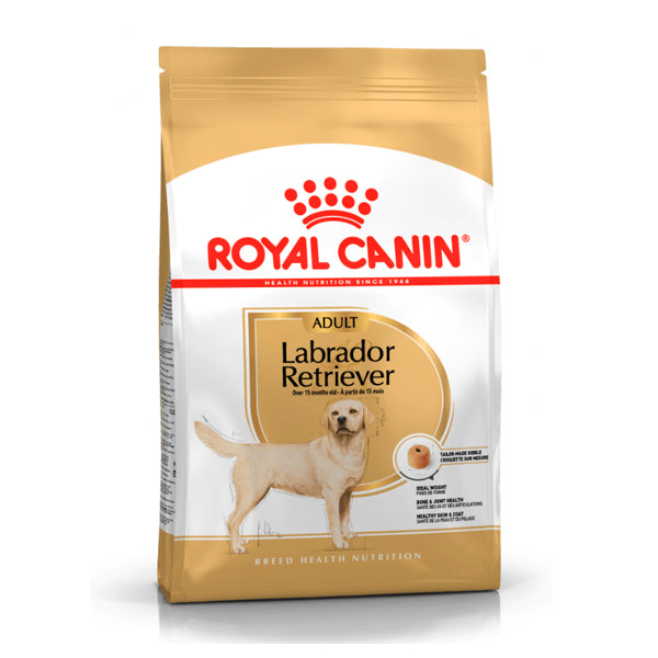 Royal Canin Labrador Retriever Adult – Pienso para Labradores Adultos y Maduros