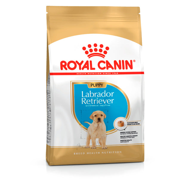 Royal Canin Labrador Retriever Puppy – Pienso para Cachorros de Labrador hasta 15 Meses