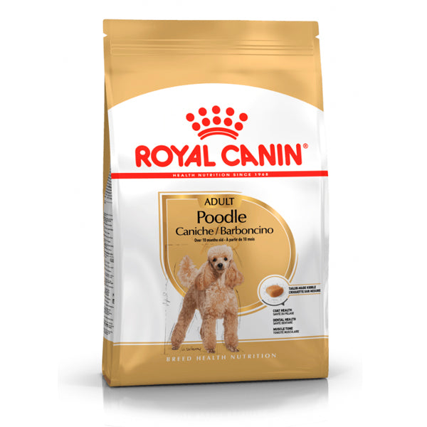 Royal Canin Poodle Adult – Pienso para Caniche Adulto y Maduro (+10 Meses)