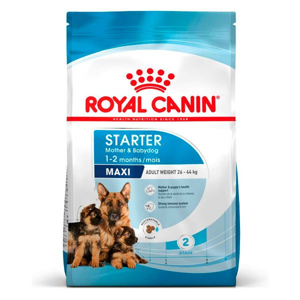 Royal Canin Maxi Starter – Pienso para Perras Gestantes, Lactantes y Cachorros de Razas Grandes