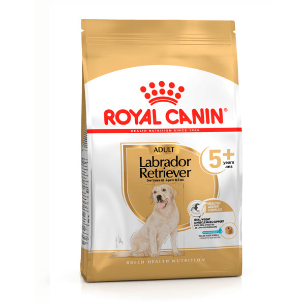 Royal Canin Labrador Retriever Adult 5+ – Pienso para Labradores Mayores de 5 Años