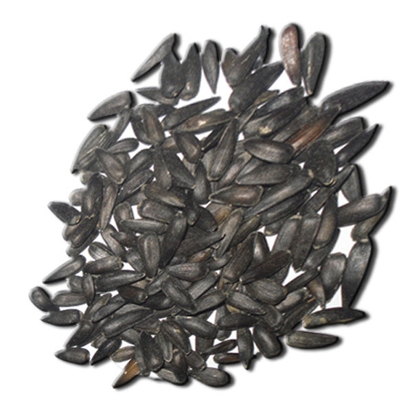 Pipa Negra para Pájaros – 1 kg y 25 kg