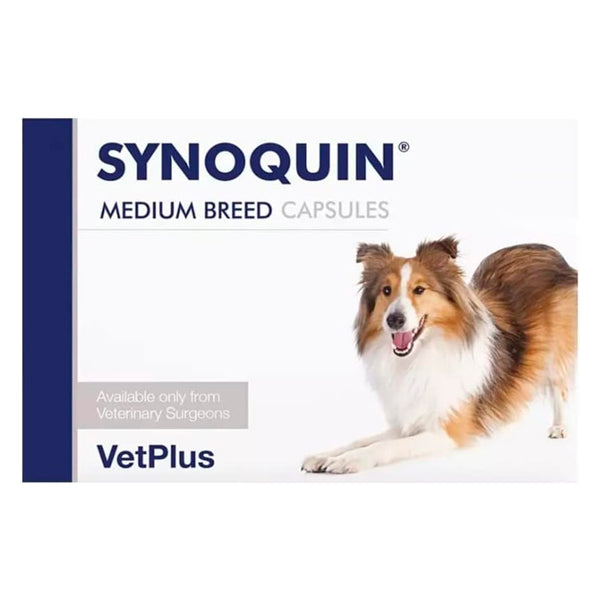 VetPlus Synoquin EFA Razas Medianas – 120 Comprimidos o Cápsulas para Articulaciones de Perros