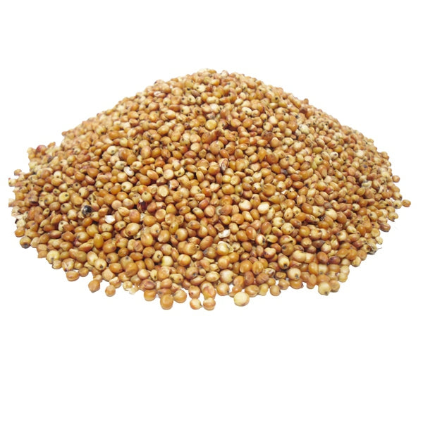 Semilla de Sorgo Rojo para Pájaros – Energía y Nutrición Natural