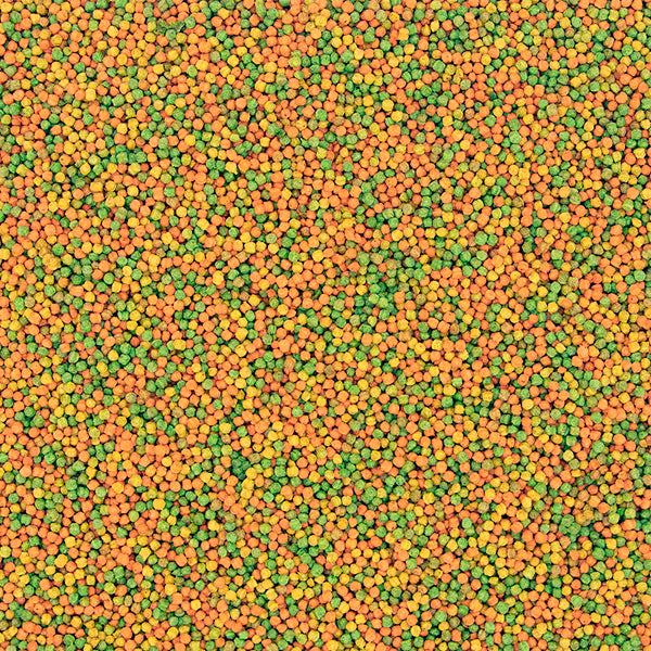 Versele-Laga NutriBird B14 – Pienso Completo para Periquitos y Psitácidos Pequeños (800 g y 3 kg)