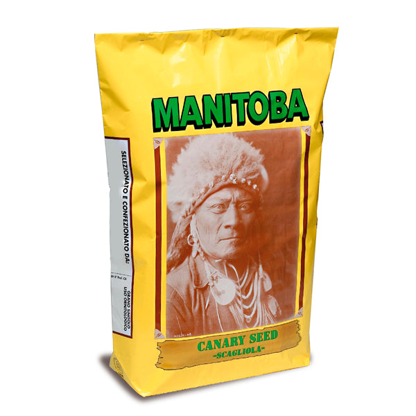 Manitoba Alpiste Extra Canadá – Semilla Premium para Aves Granívoras, Alta en Carbohidratos
