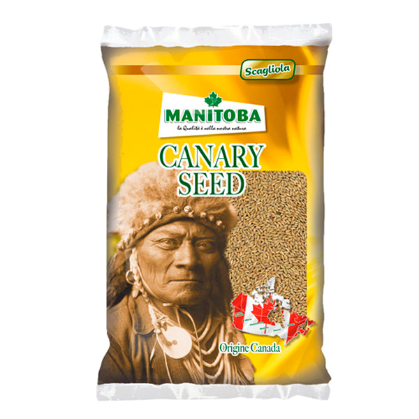 Manitoba Alpiste Extra Canadá – Semilla Premium para Aves Granívoras, Alta en Carbohidratos