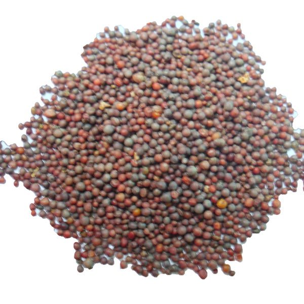 Semilla Nabina Roja para Aves – Envase 1 kg y Saco 25 kg – Nutritiva y Rica en Vitaminas