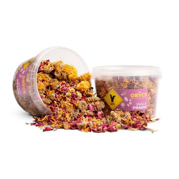 MiniOrycs Snack Prado 50g – Mezcla Natural de Flores para Conejos y Roedores | Suplemento Digestivo y Inmunitario
