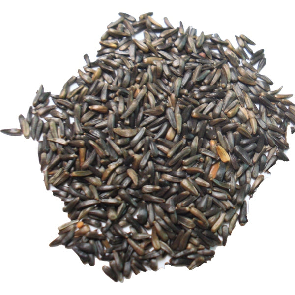 Semilla de Negrillo para Pájaros – Níger Premium 1kg y 25kg