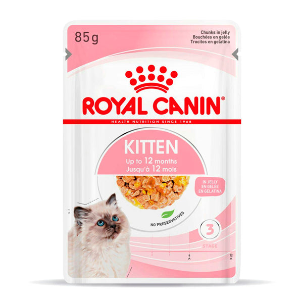 Royal Canin Kitten en Gelatina – Alimentación Húmeda para Gatitos en Crecimiento