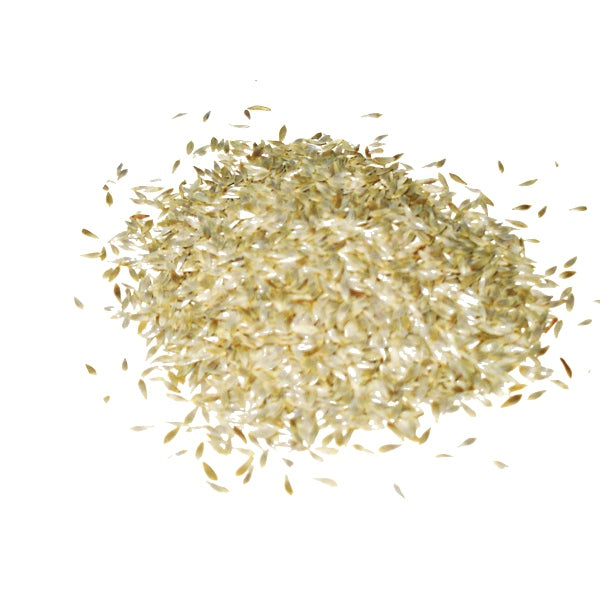 Semilla de Lechuga Blanca para Pájaros – Vitamínica y Refrescante