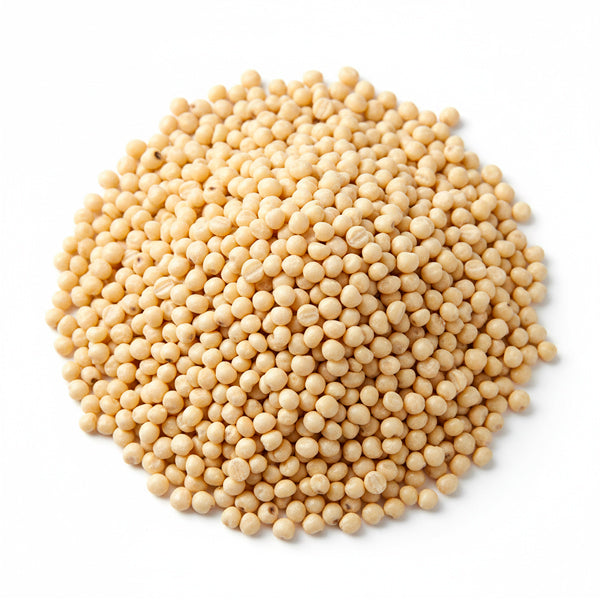 Semilla de Paniset (Panizo) para Pájaros – Nutritiva y Fácil de Digestionar